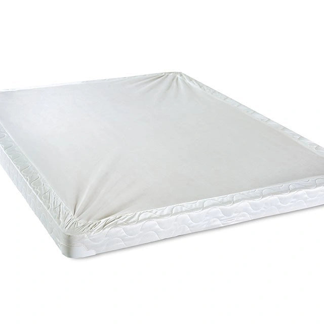 Bird Of Paradise 4" Foundation