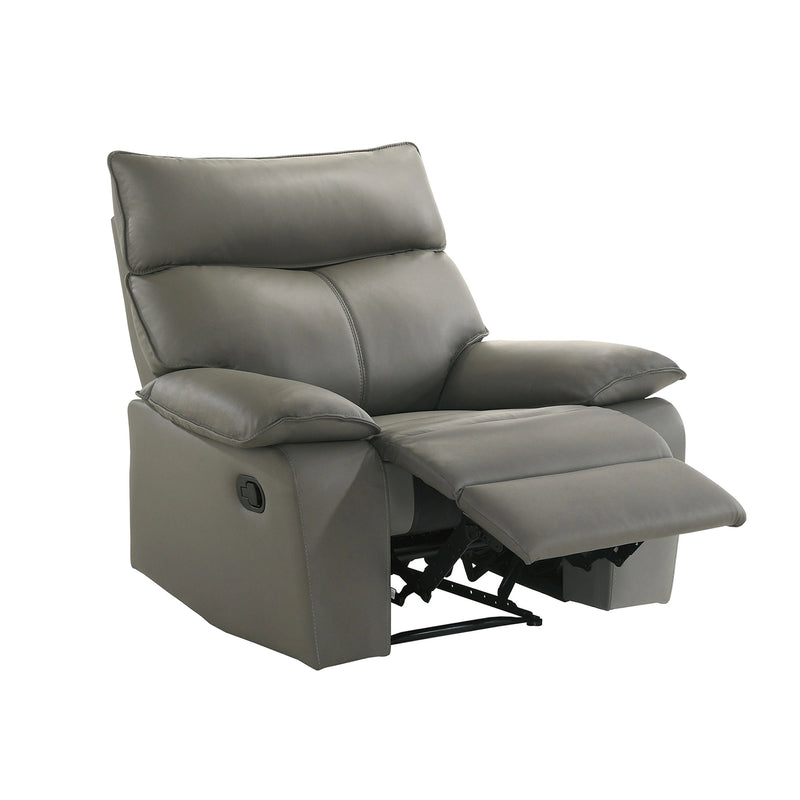 Wildcat Motion Recliner in Aviarah Grey