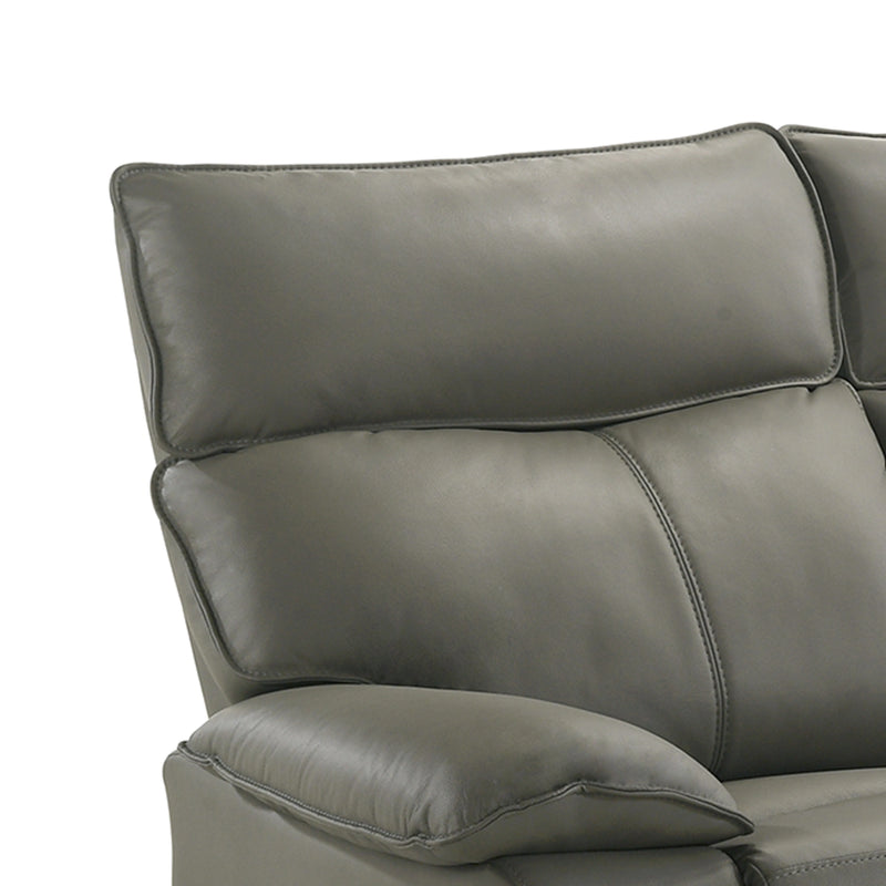 Wildcat Motion Sofa in Aviarah Grey