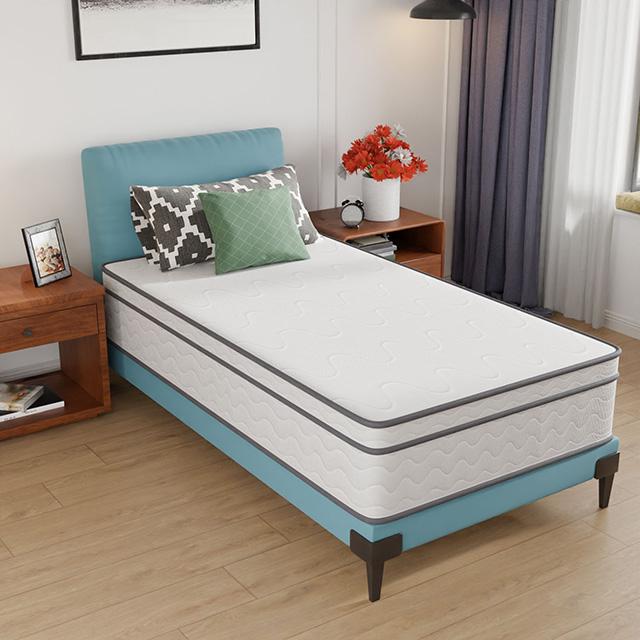 Catmint 12" Twin Innerspring Mattress