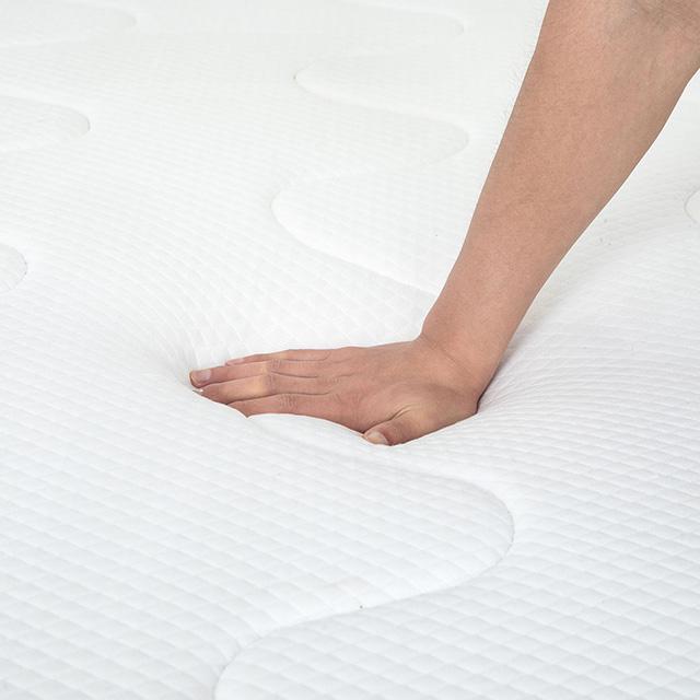 Catmint 10" Full Innerspring Mattress