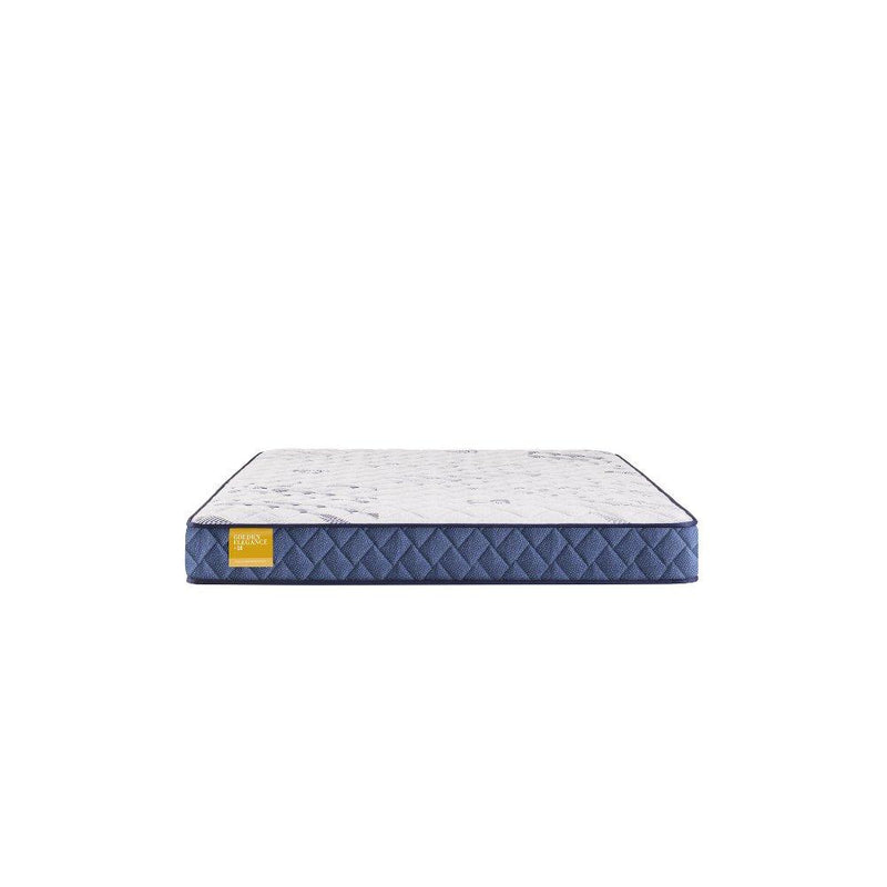 Erie Foam Mattress