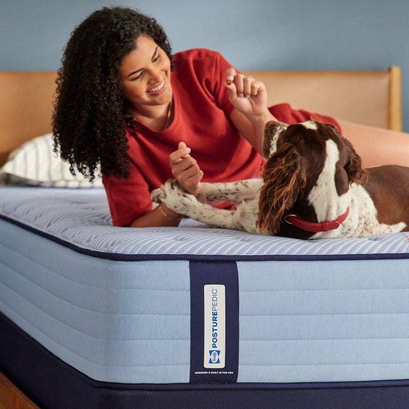 Medina IITight Top Spring Mattress