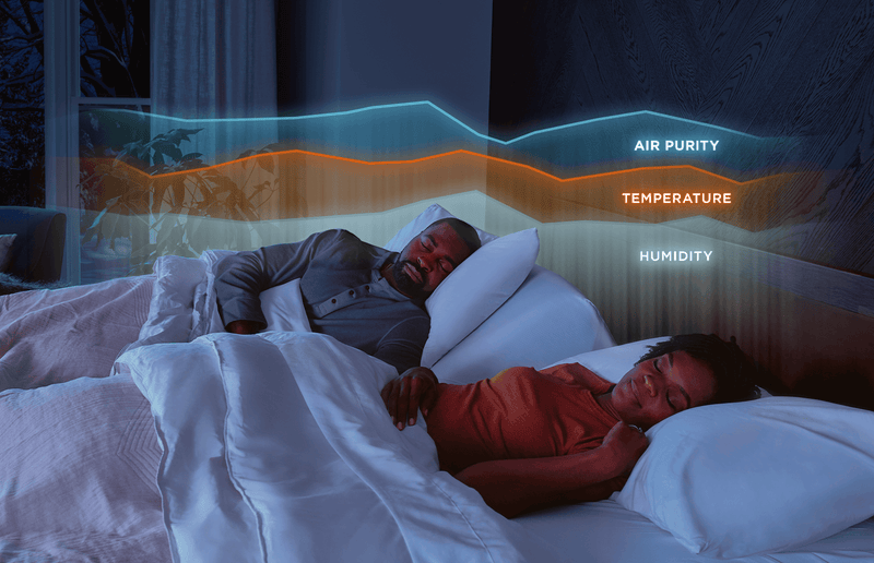 Tempur-Ergo Smart Base