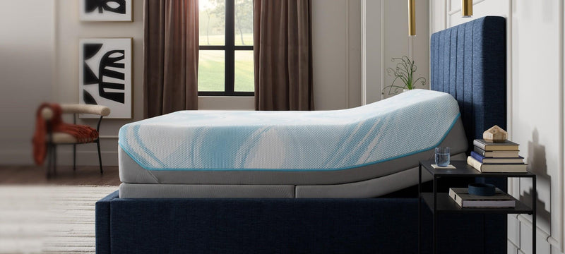 Tempur-Ergo ProSmart Air