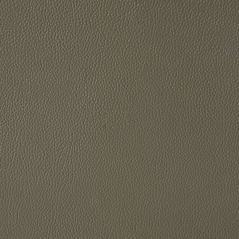Wildcat Motion Sofa in Aviarah Grey