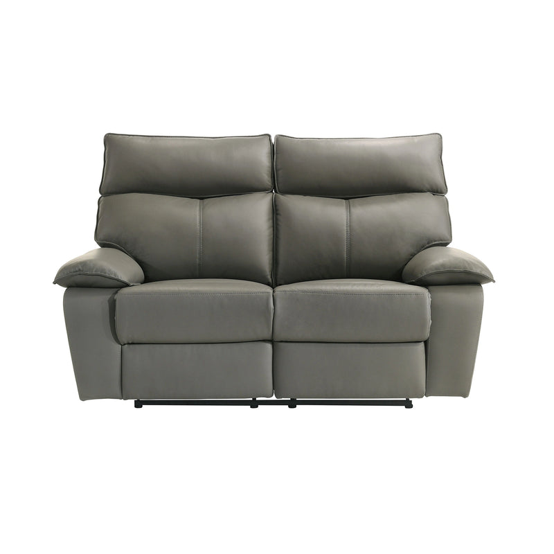 Wildcat Motion Loveseat in Aviarah Grey