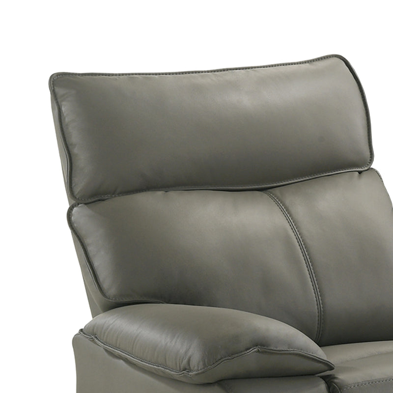 Wildcat Motion Recliner in Aviarah Grey