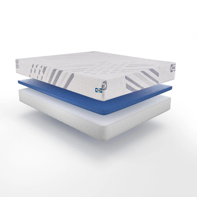 Sealy Lane Foam Mattress