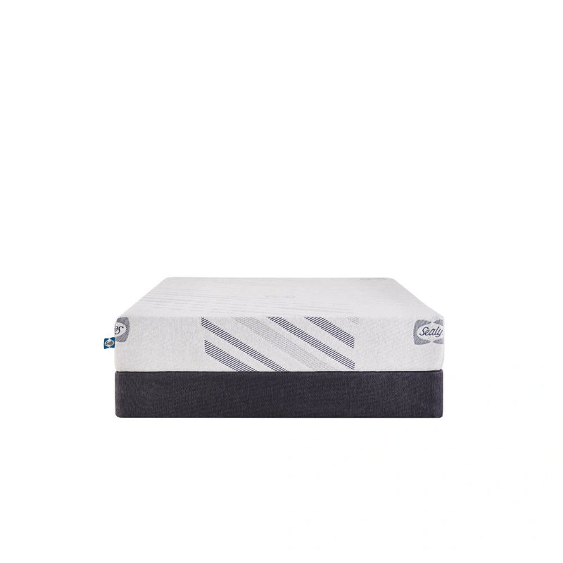 Sealy Provision Foam Mattress